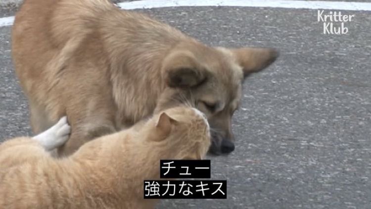♪ tweet media