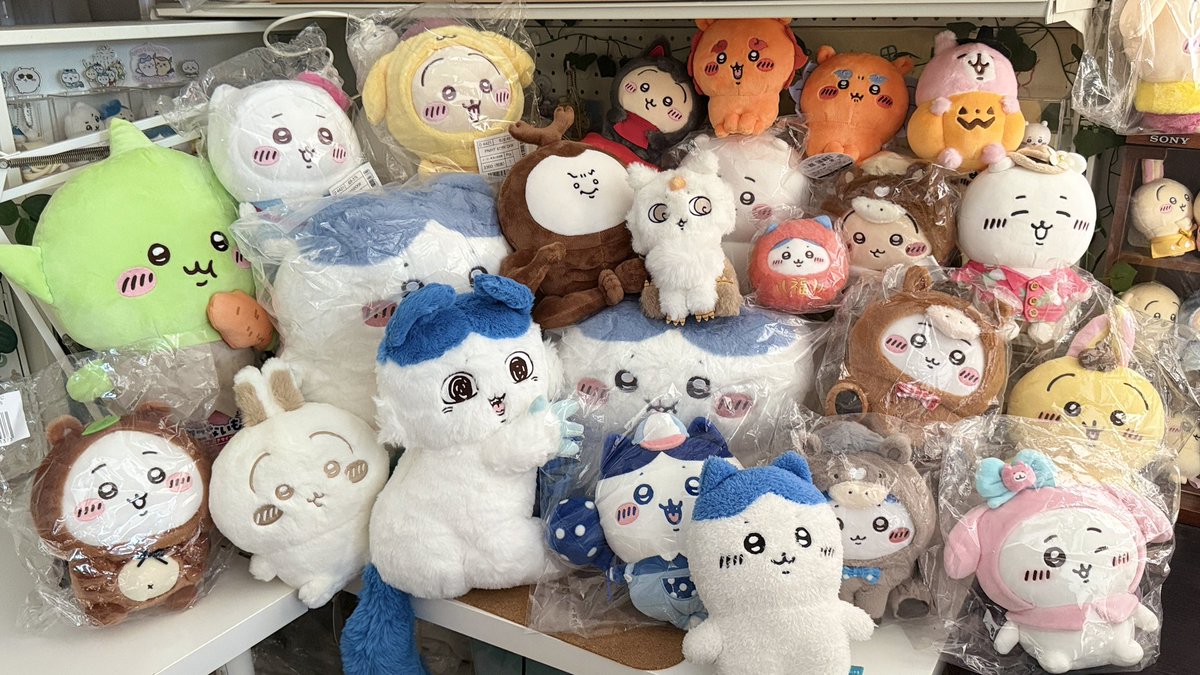 ⊹  ᕱ⑅ᕱ ช่วยรีทวีตหน่อยค่า 
หายไปนานน กลับมาแน้วว🥹

EP.2 พวงกุญแจ ตุ๊กตา ล็อตต้อนรับหน้าฝน 🌧️

ลงโพสต์วันเสาร์ (02/05) 19:00 น. 
🌟 Live tiktok 21:30 น.
#ตารางลงของเอมม่า2026

ให้แท็กเรียกแจ้งได้ในเมนชั่นค่ะ
#ตลาดนัดchiikawa #ตลาดนัดchiikawa