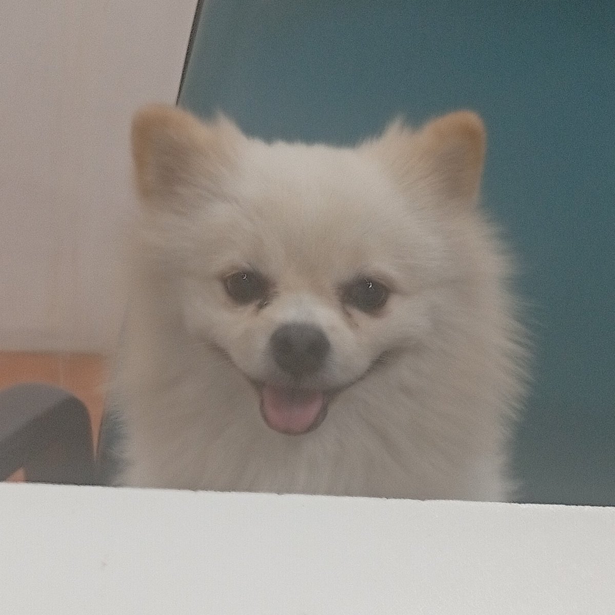 𝕮𝖍𝖊𝖗𝖙𝖆𝖒 ✟ | BOWERBLYTH LUCY GRIFFIN SOTR ੈ♡ tweet media