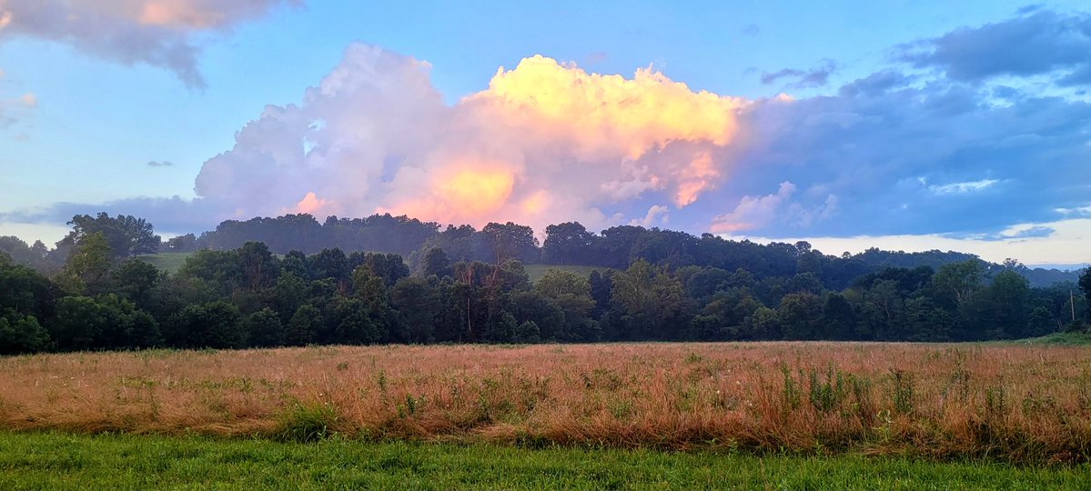 Oh, Shenandoah tweet media