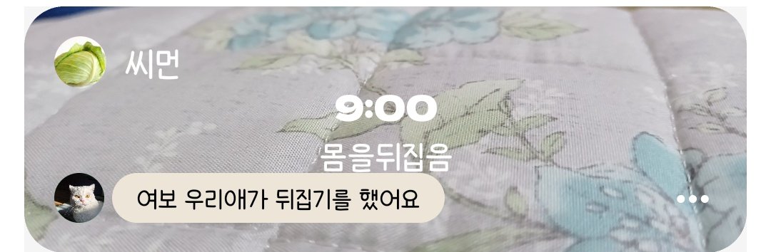 씨먼 tweet media