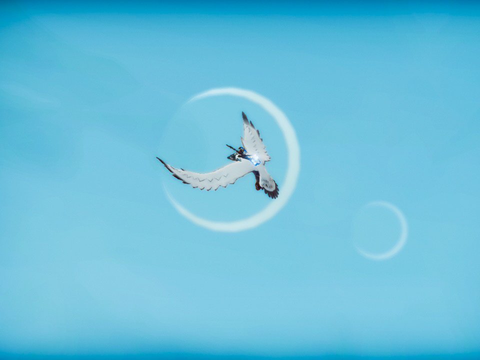 virtual_koda's tweet photo. The FALCONEER: Warrior Edition
#NintendoSwitc(2)
#TheFalconeer #Nindies #Indiegames #WiredCreator #VirtualPhotography https://t.co/BH4n7pxpYC