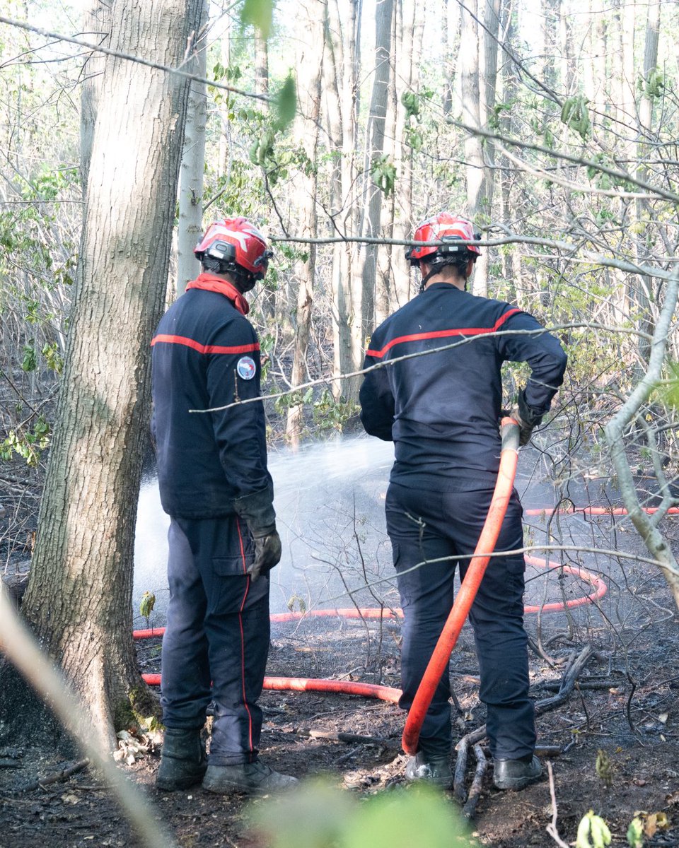 Sdis_95's tweet image. [Retour sur #Intervention] 🚨 Incendie dans la forêt de Montmorency

👉 Le 23 avril dernier, les sapeurs-pompiers du Val d’Oise ont été mobilisés pour un feu d’herbacées, dans la forêt de Montmorency.

L’utilisation d’un drone du GRID 95 (Groupe de renseignement et d'intervention