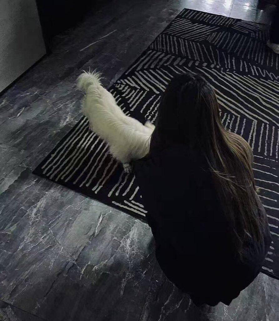 上海投稿 tweet media