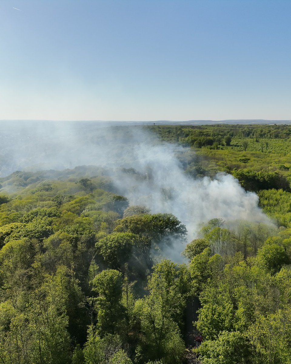 Sdis_95's tweet image. [Retour sur #Intervention] 🚨 Incendie dans la forêt de Montmorency

👉 Le 23 avril dernier, les sapeurs-pompiers du Val d’Oise ont été mobilisés pour un feu d’herbacées, dans la forêt de Montmorency.

L’utilisation d’un drone du GRID 95 (Groupe de renseignement et d'intervention