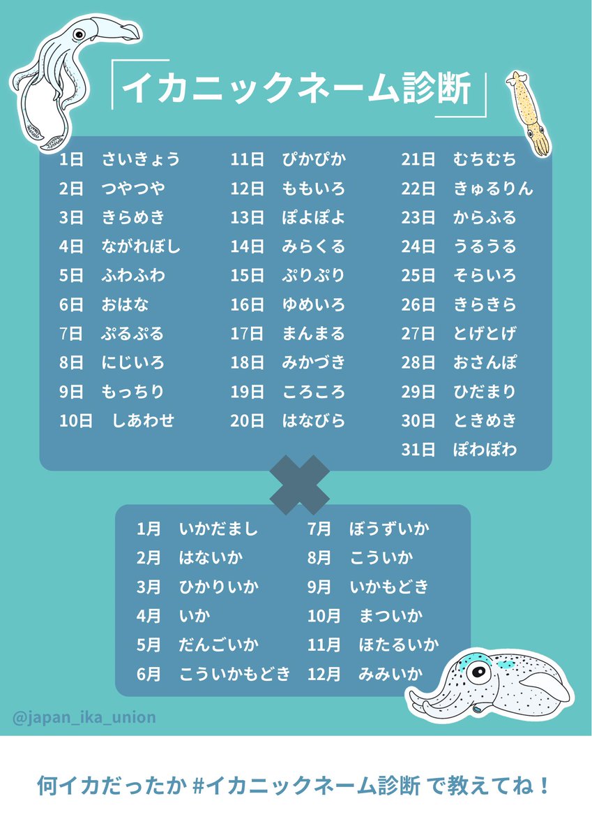 日本いか連合【公式】 tweet media