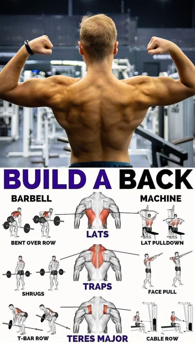 Gym Hub tweet media