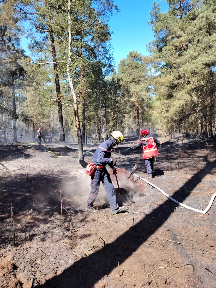 SDIS60's tweet image. #Intervention | Feu d’espace naturel à Fontaine-Chaalis

Les opérations se poursuivent toute la journée avec des actions de noyage et de traitement mécanique (forestage) afin de prévenir toute reprise et traiter les points chauds.