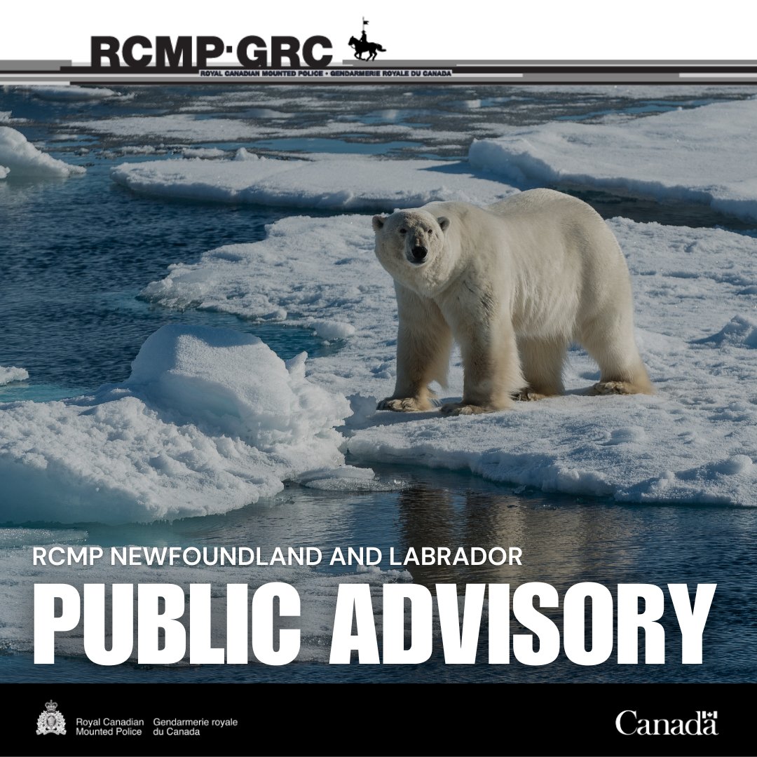 RCMP Newfoundland and Labrador tweet media