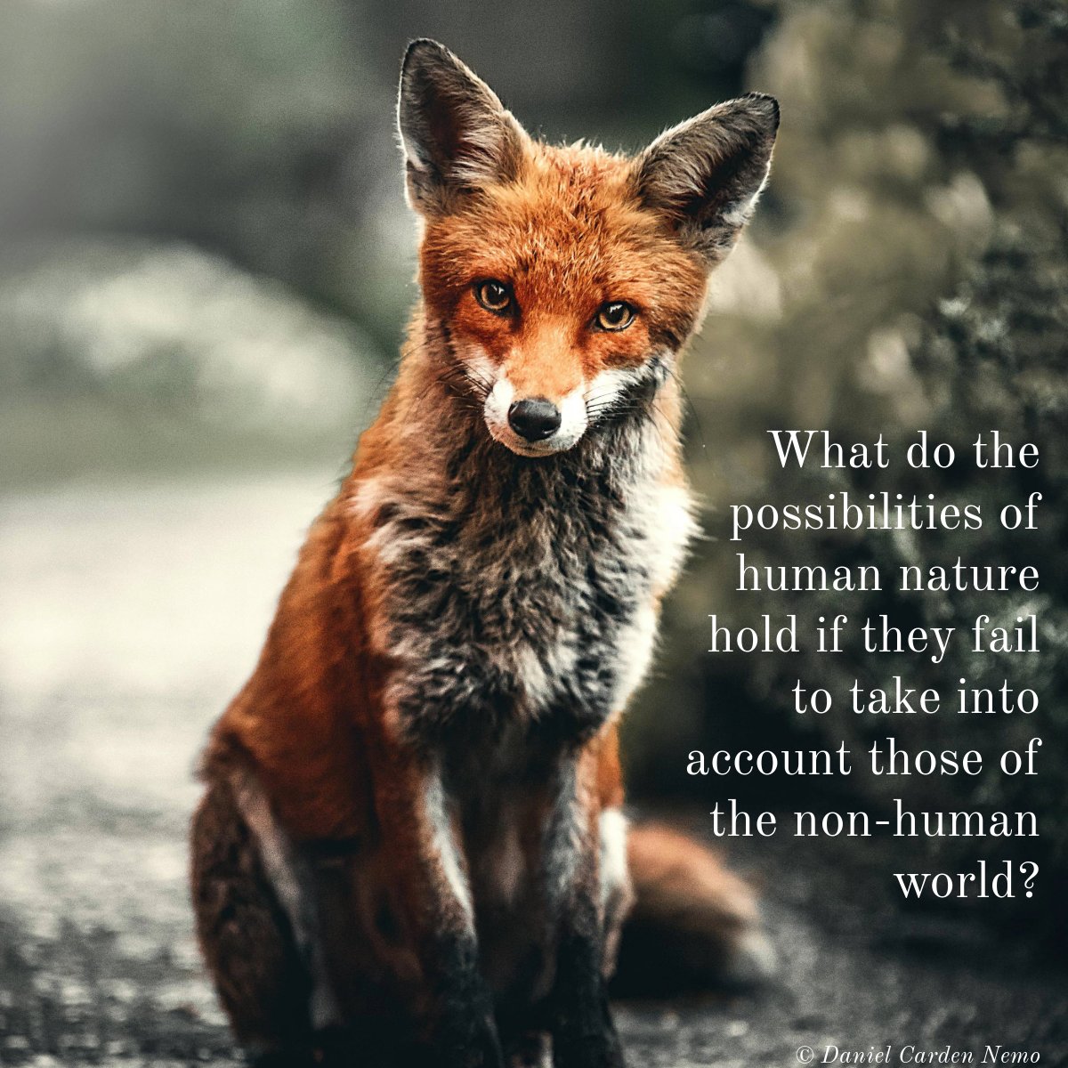 danielnemo's tweet image. "The animal reminds us that life precedes thought, and that thought is only one way of being alive." - Hannah Arendt

Read more at bit.ly/world-revisited in 𝐀𝐦𝐬𝐭𝐞𝐫𝐝𝐚𝐦 𝐑𝐞𝐯𝐢𝐞𝐰, an ecocentrist lit mag.

#nature #biodiversity #veganism #animalethics