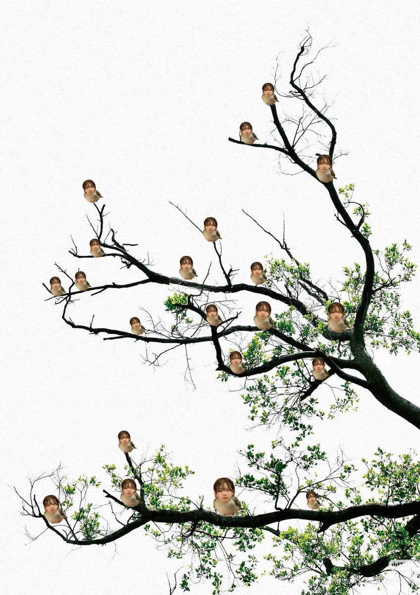 새야새야