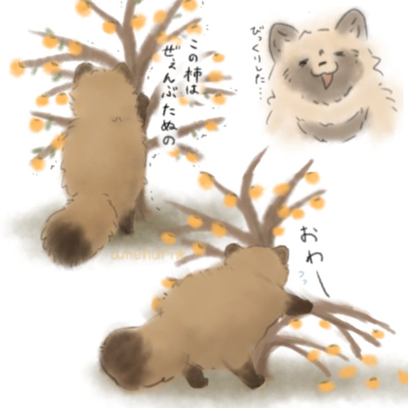 柿ポシェットを下げたたぬきさん RT @amehuri_1010: #くそでかたぬきエピソード たぬき（推定600kg）が