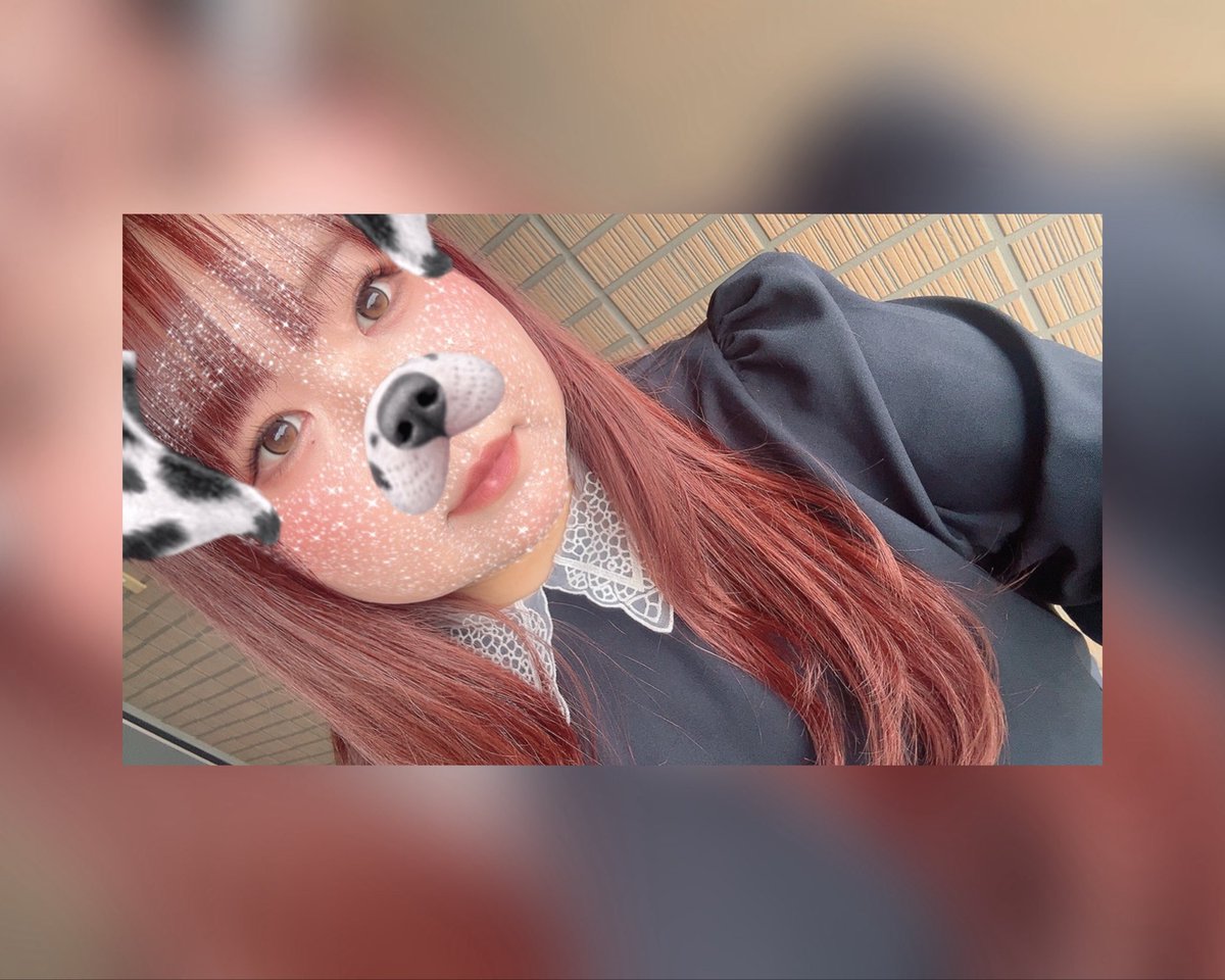 ｶﾅ民🦭 tweet media