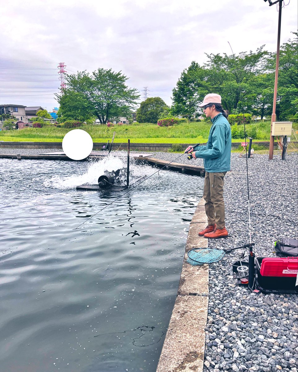 maki matsumiya tweet media