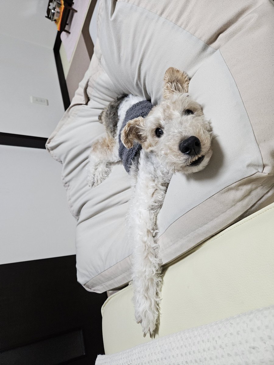 ゴロゴロしてます🌜️💤