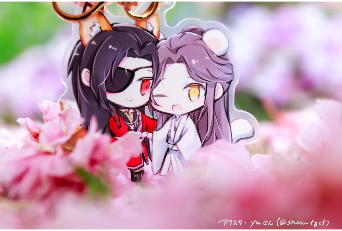 .˚‧º tweet media