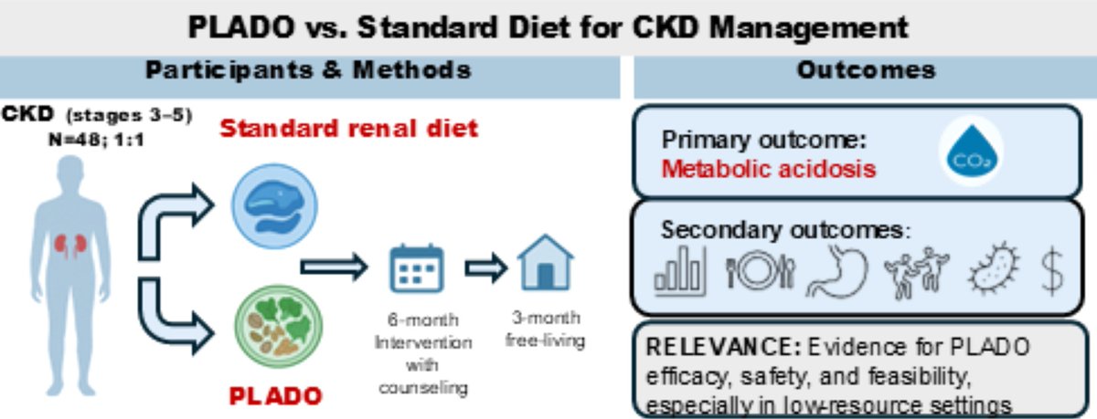 kamkalantar's tweet image. Plant-Dominant  Low-Protein #PLADO Diet versus Standard Care in Adults with Chronic Kidney  Disease #CKD Stages 3–5: A Randomized Controlled Trial Protocol ... sciencedirect.com/science/articl… #RCT #PLADOdiet