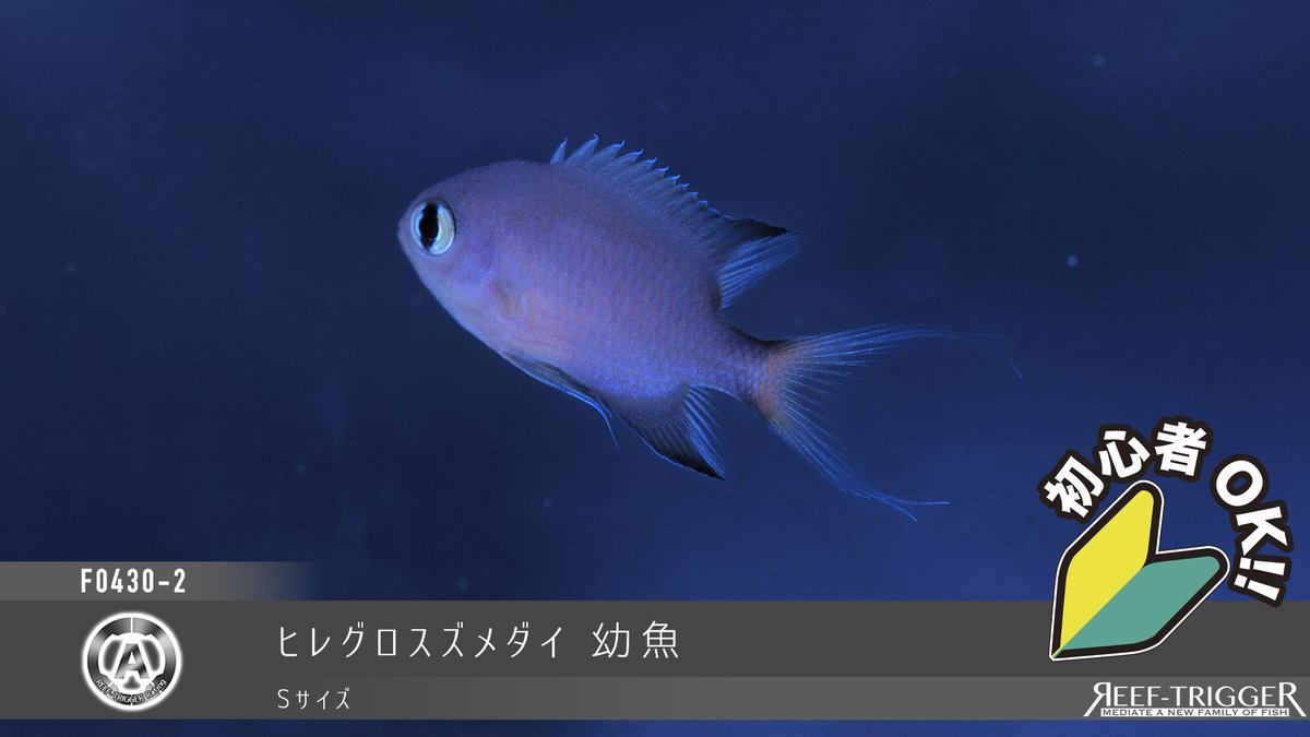 REEF-TRIGGER tweet media