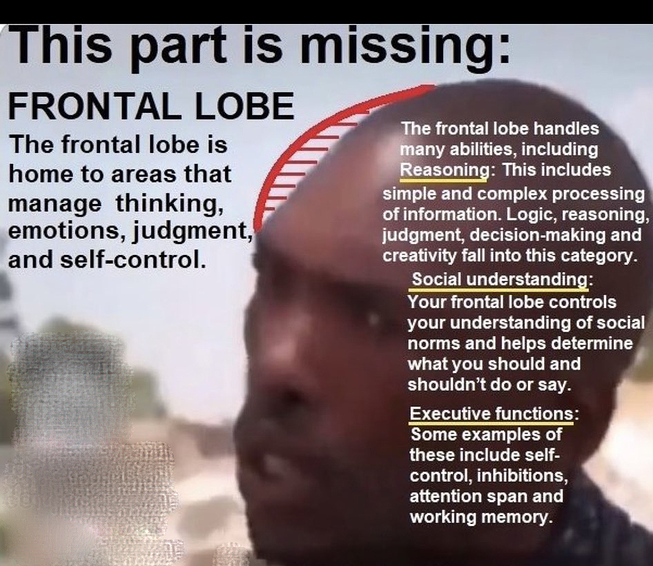 Michael Provost 🇨🇦🇺🇸 tweet media