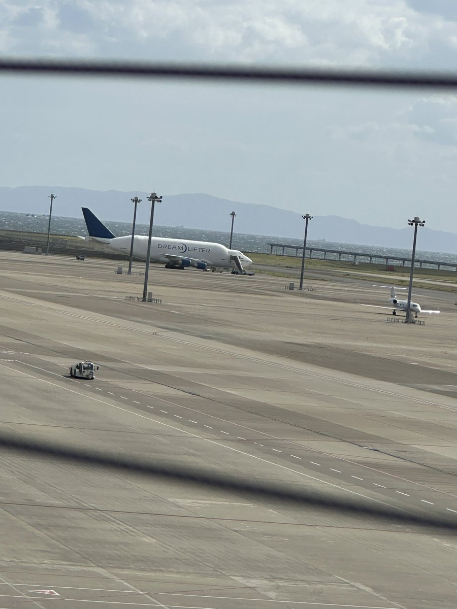 りん🌷🍀 tweet media