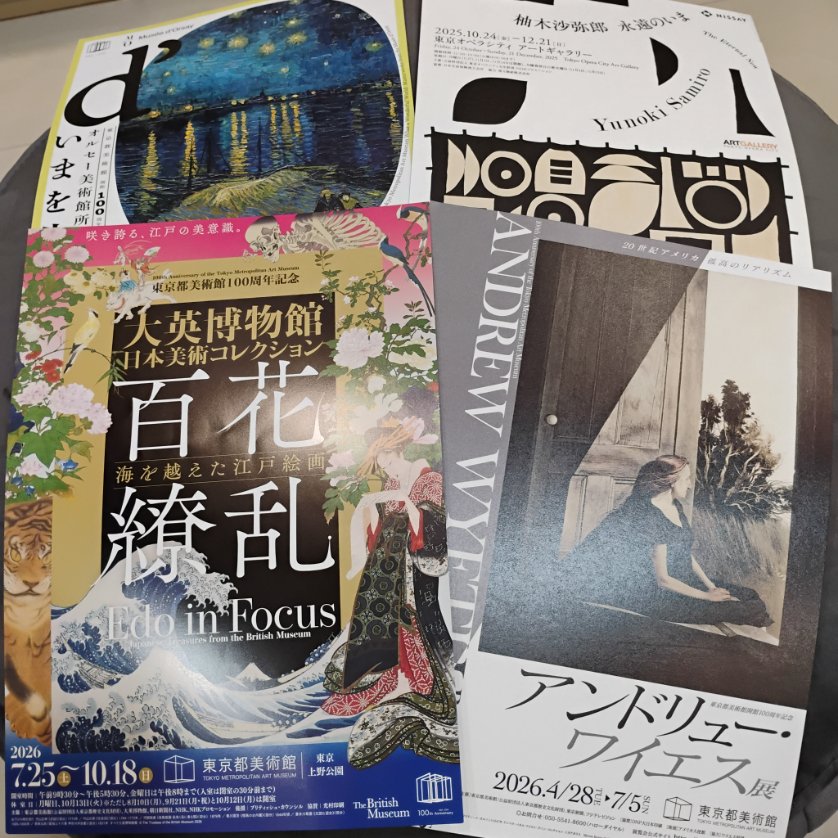 noct 🦉 tweet media