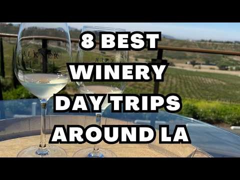 discoveringgem's tweet image. #losangeles #la #winerydaytrips #winetasting #video

youtu.be/68VkJushut8