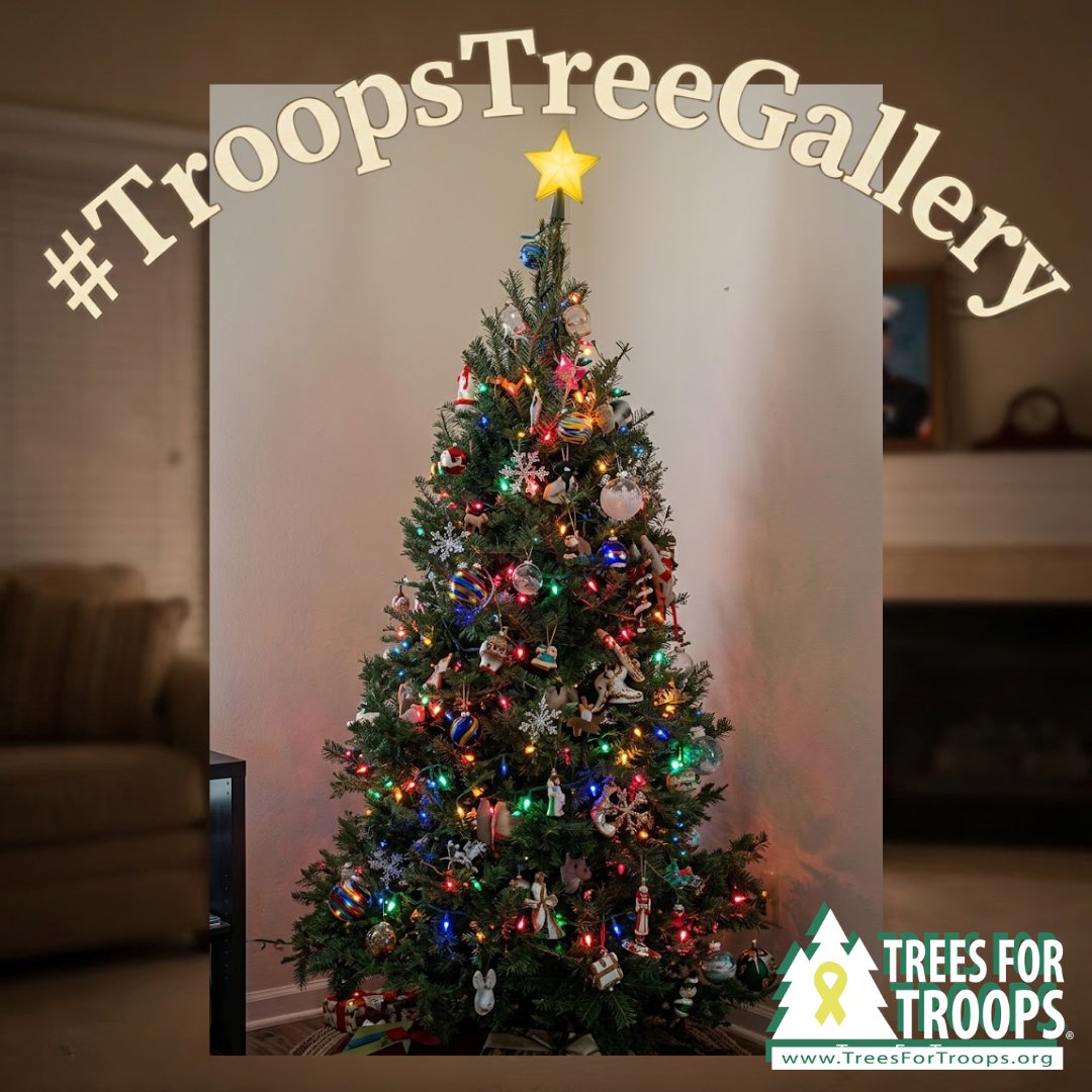 Trees for Troops tweet media