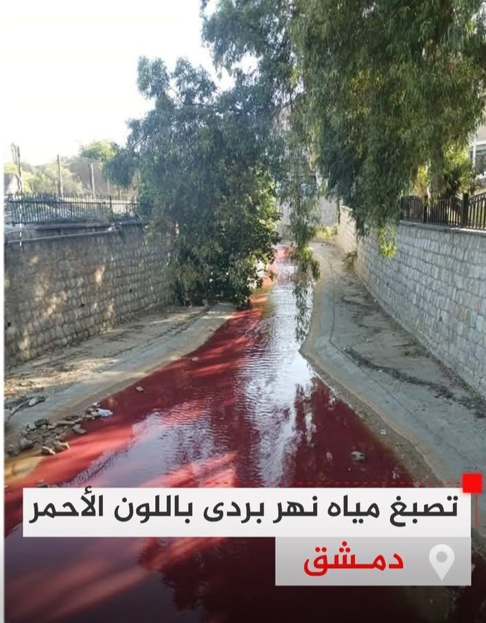 Rana _-_ ODI tweet media