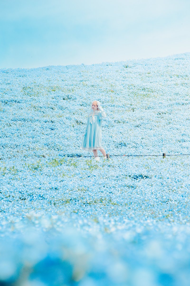 かずお📸 tweet media