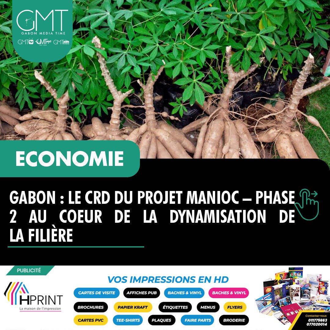 gabonmediatime's tweet image. 🟢 [#Infographie] Actualités principales du 30/04/2026

𝐂𝐨𝐧𝐭𝐚𝐜𝐭𝐞𝐳 𝐥𝐚 𝐫𝐞́𝐝𝐚𝐜𝐭𝐢𝐨𝐧

📲
066441717  
📞 
011775663

📬
contact@gabonmediatime.com

𝐑𝐞𝐣𝐨𝐢𝐠𝐧𝐞𝐳 𝐧𝐨𝐭𝐫𝐞 𝐜𝐡𝐚𝐢̂𝐧𝐞 𝐖𝐡𝐚𝐭𝐬𝐀𝐩𝐩 : 

🔗 lc.cx/9dgPhl

#GMT
#Gabon