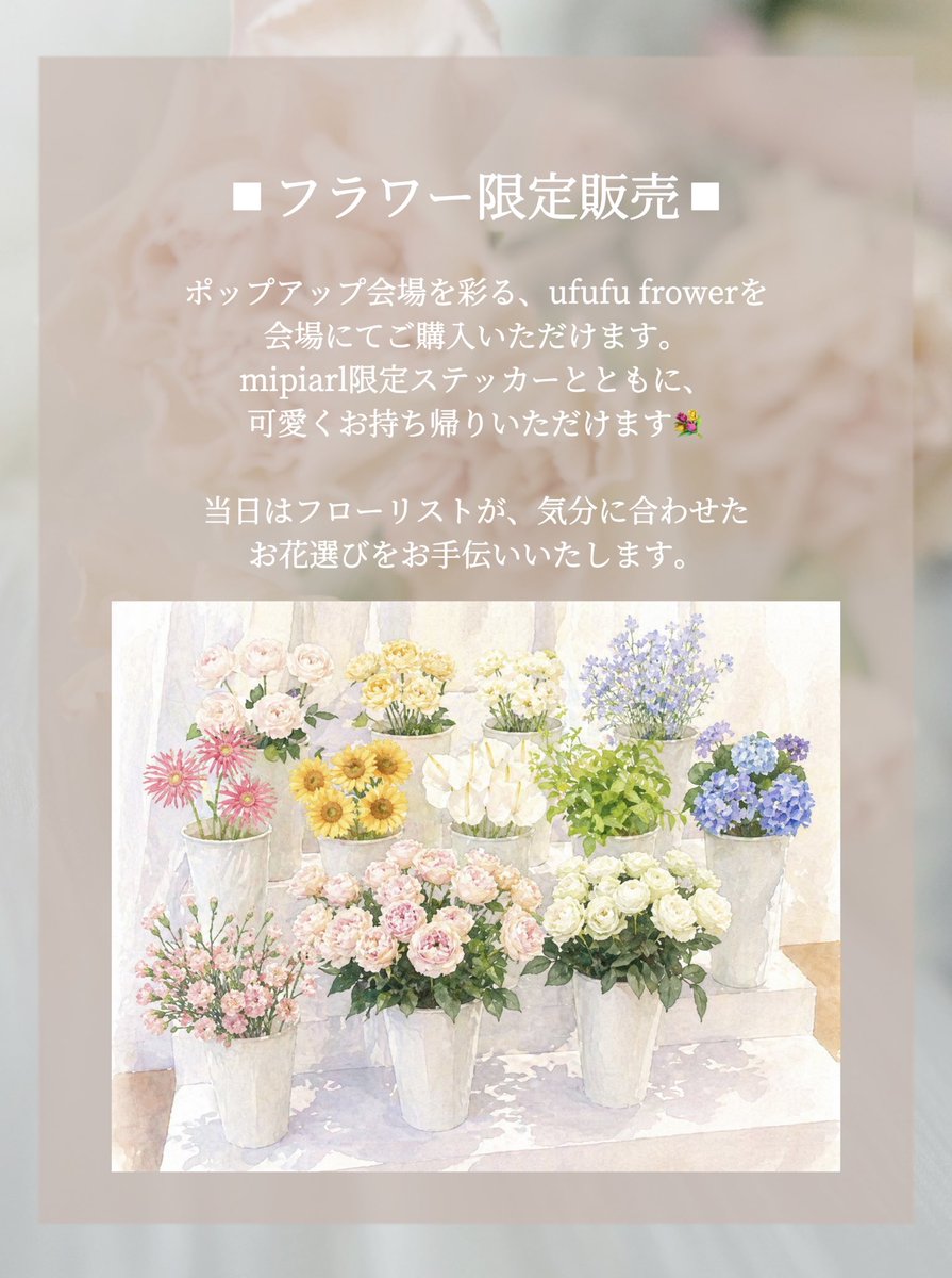 明石 真由美 tweet media