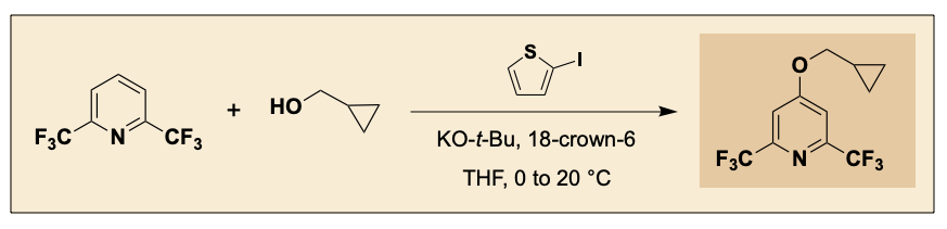 Organic Syntheses tweet media