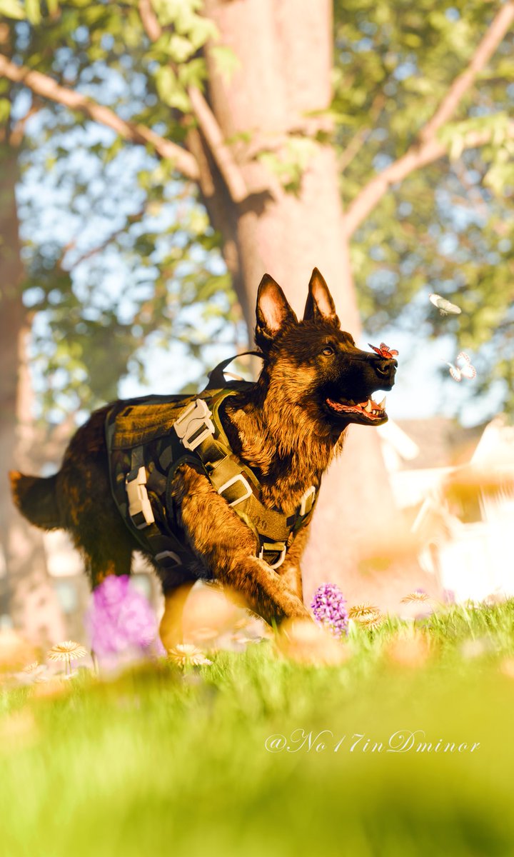 No17inDminor's tweet image. Happy Riley 🥳

#cod #callofduty