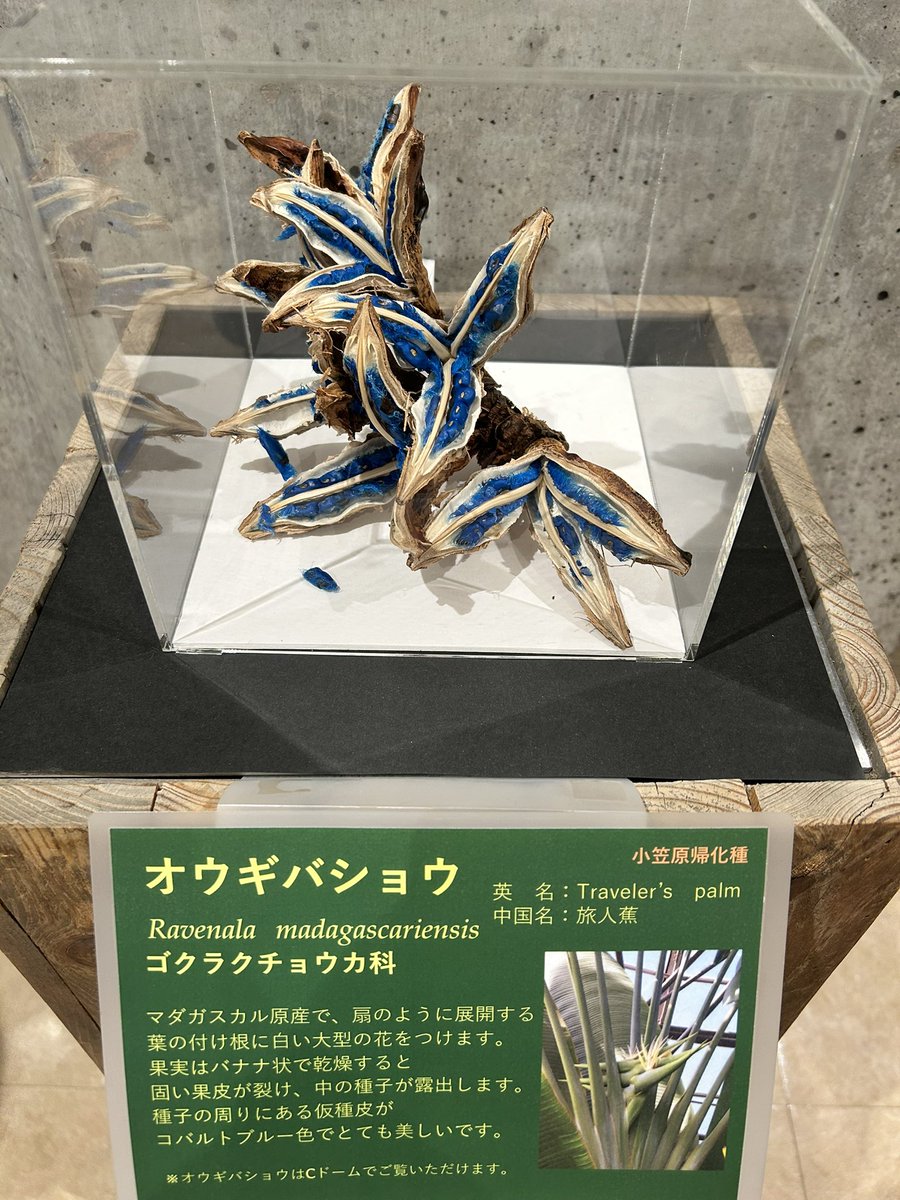 Itaru tweet media