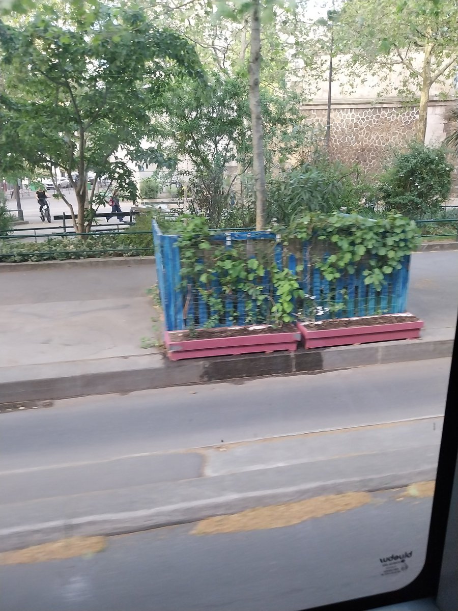 Sauvons Paris 12 🇫🇷🇮🇱 tweet media