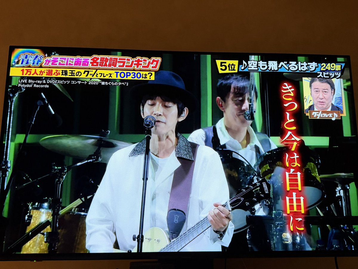 シロクマ tweet media