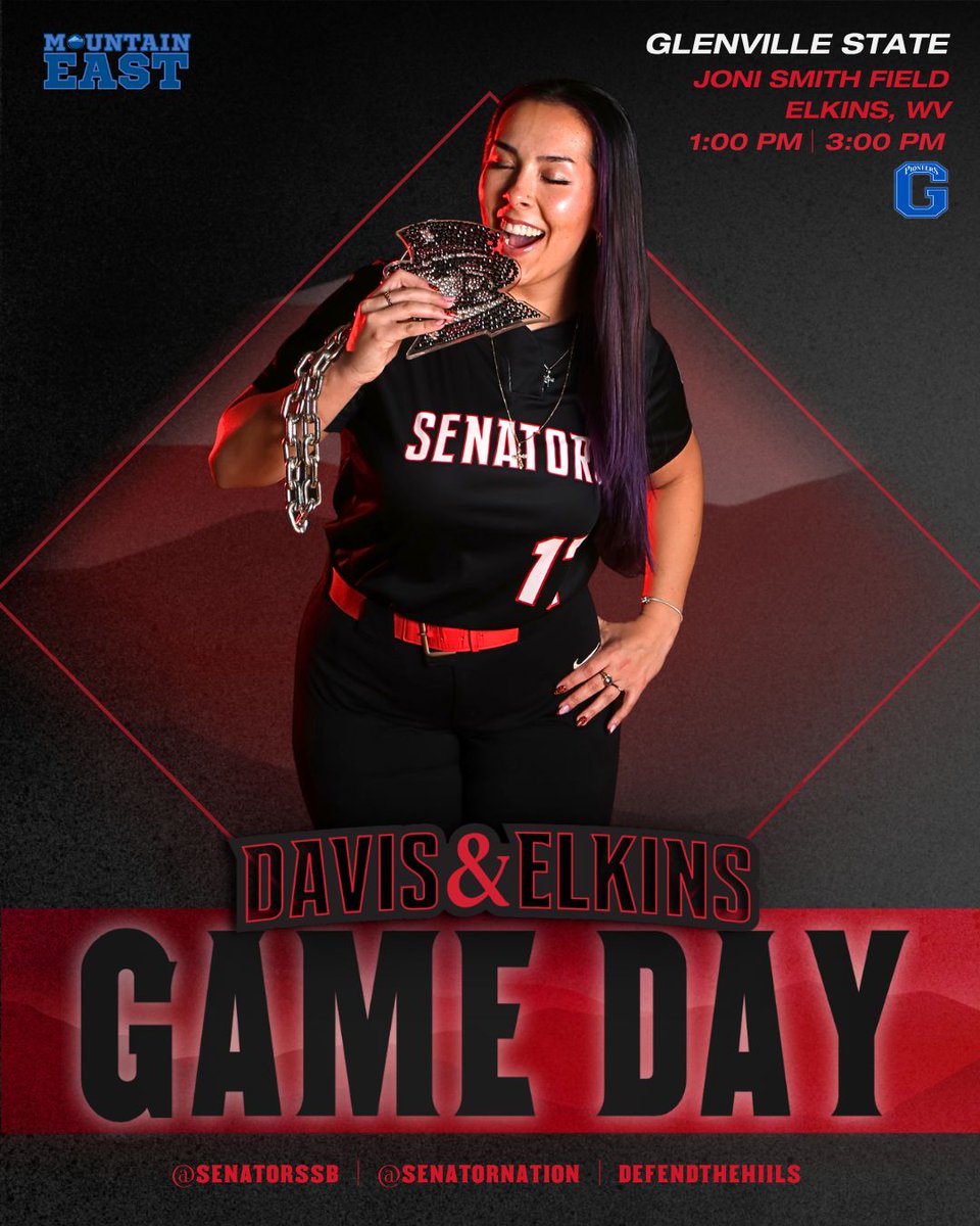 SenatorNation tweet media