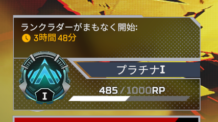 やりますか。