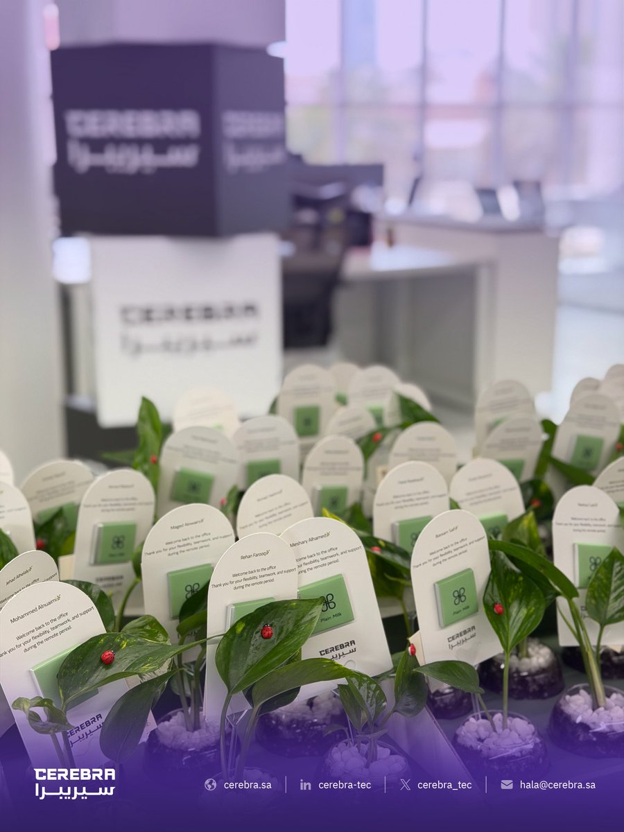 Cerebra سيريبرا tweet media