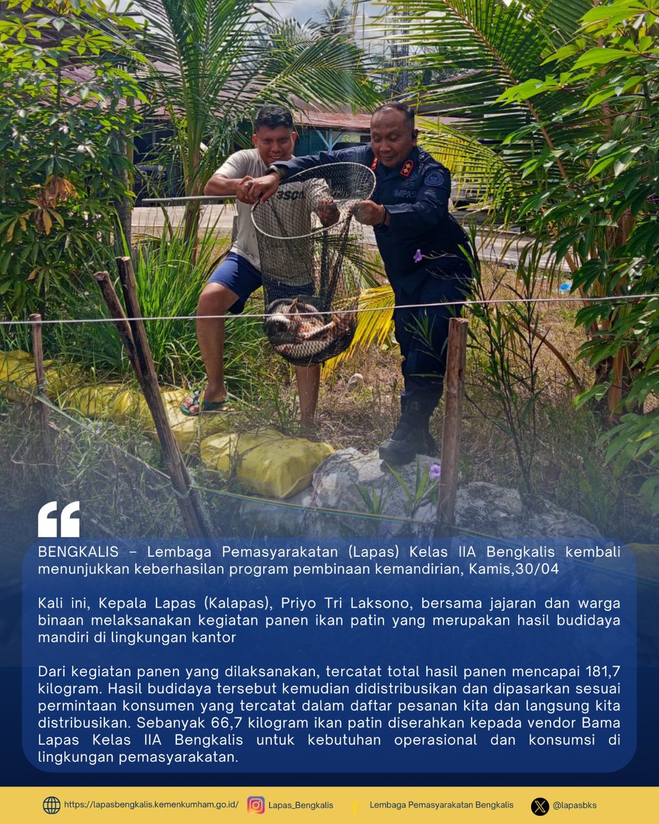 lapasbks's tweet image. Panen Ikan Patin, kalapas Bengkalis Sukses Kembangkan Budidaya Perikanan Bersama Warga Binaan

#guardandguide #pemasyarakatan #lapasbengkalis #humaslapasbengkalis