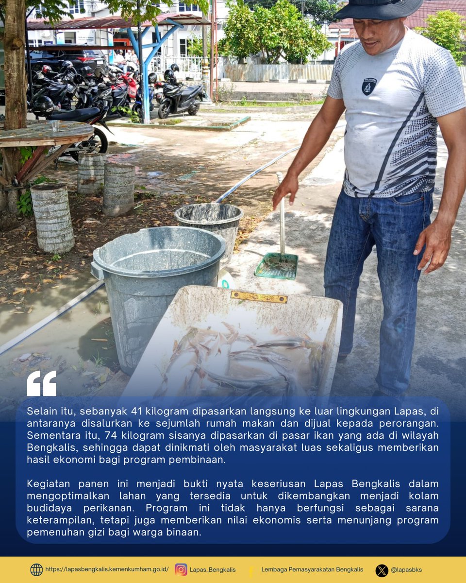 lapasbks's tweet image. Panen Ikan Patin, kalapas Bengkalis Sukses Kembangkan Budidaya Perikanan Bersama Warga Binaan

#guardandguide #pemasyarakatan #lapasbengkalis #humaslapasbengkalis