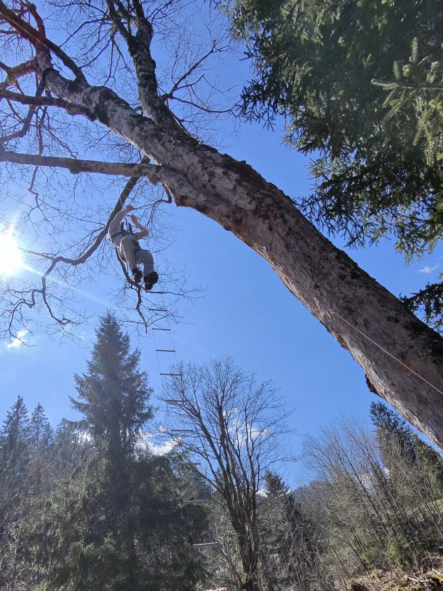 BLSVSportcamp's tweet photo. Die Strickleiter wackelt. Unten hält das Team das Seil. Oben wartet nichts außer Himmel. Sprosse für Sprosse, bis der Boden klein wird. Manche nennen es Erlebnispädagogik. Wir nennen es: Dienstag. https://t.co/szMwwTE7a1