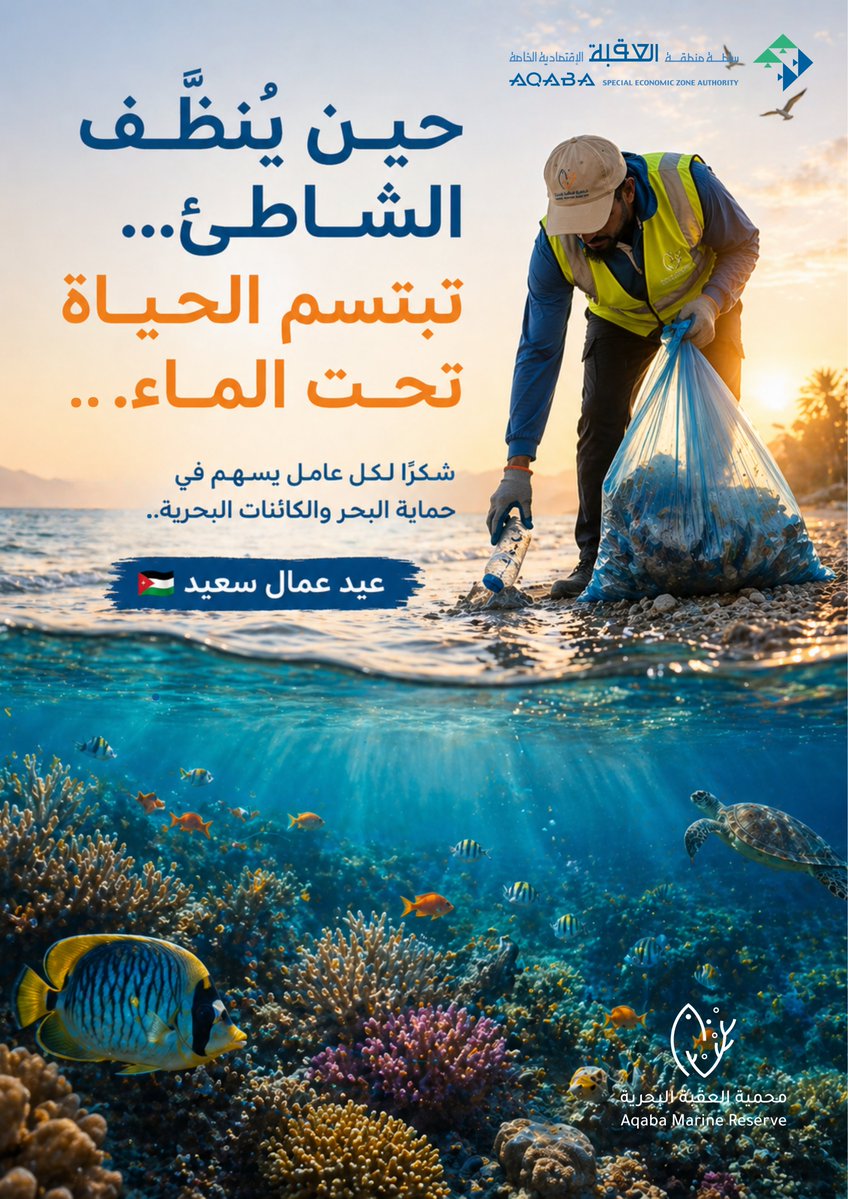 Aqaba Marine Reserve محمية العقبة البحرية tweet media