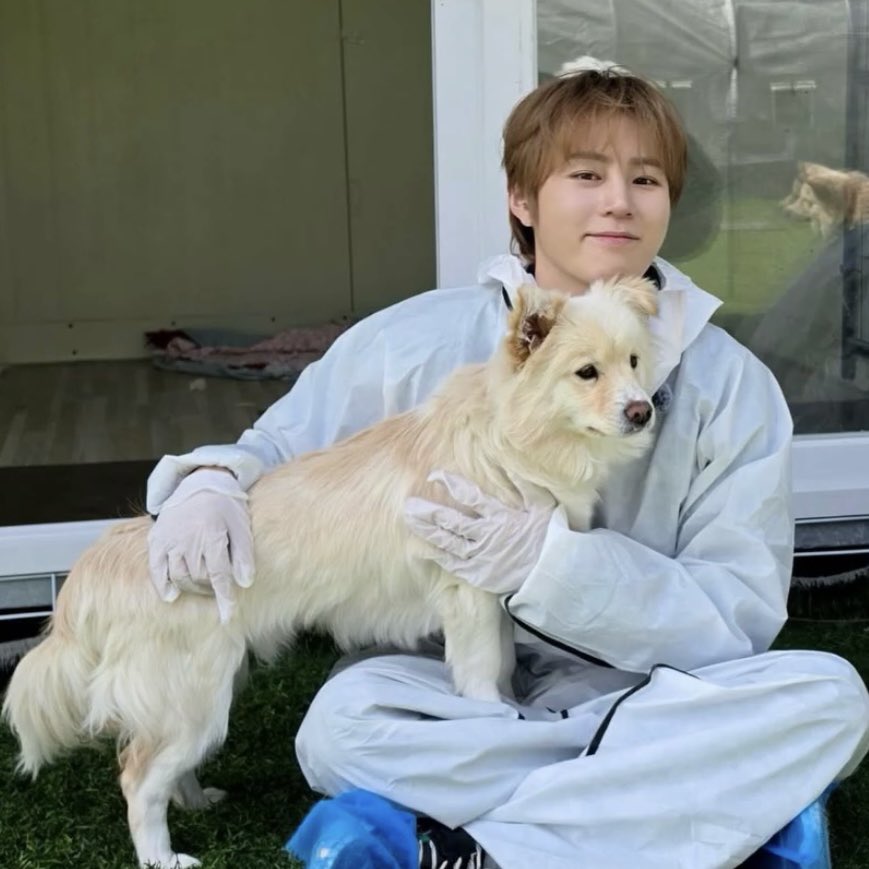푸똥이.. tweet media