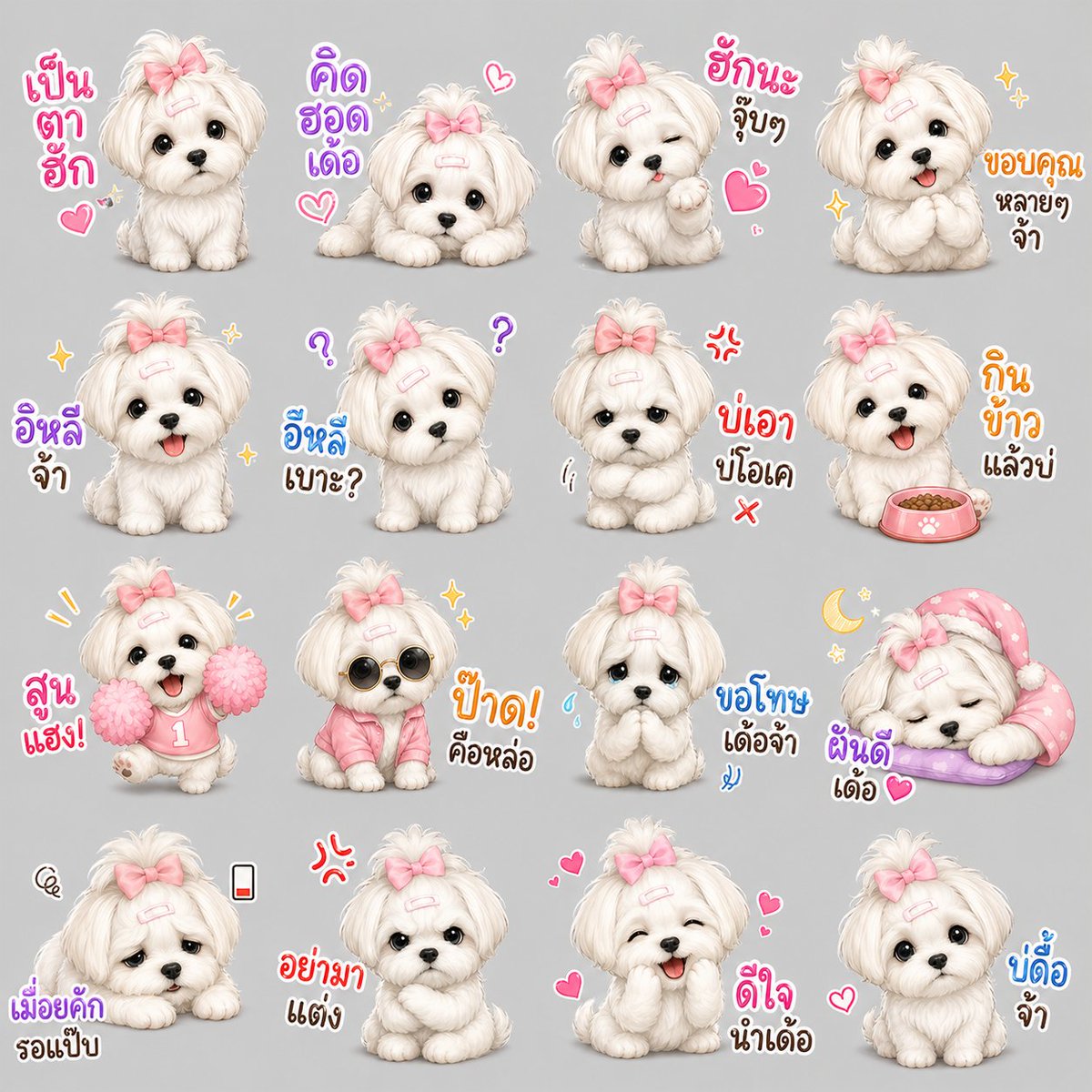 dogthailand.net & suptarpetshop.com คนรักหมาแมว tweet media