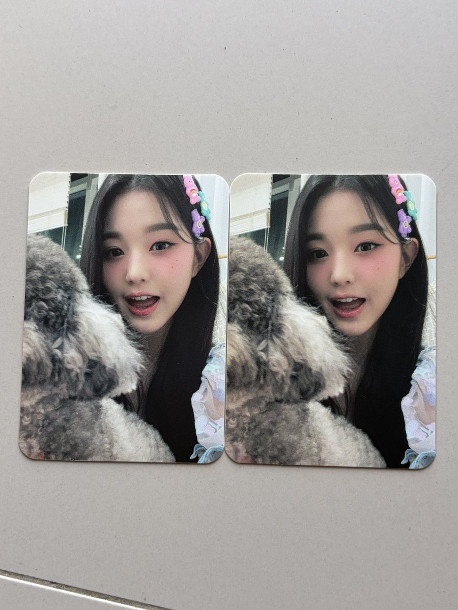lin🐇 tweet media