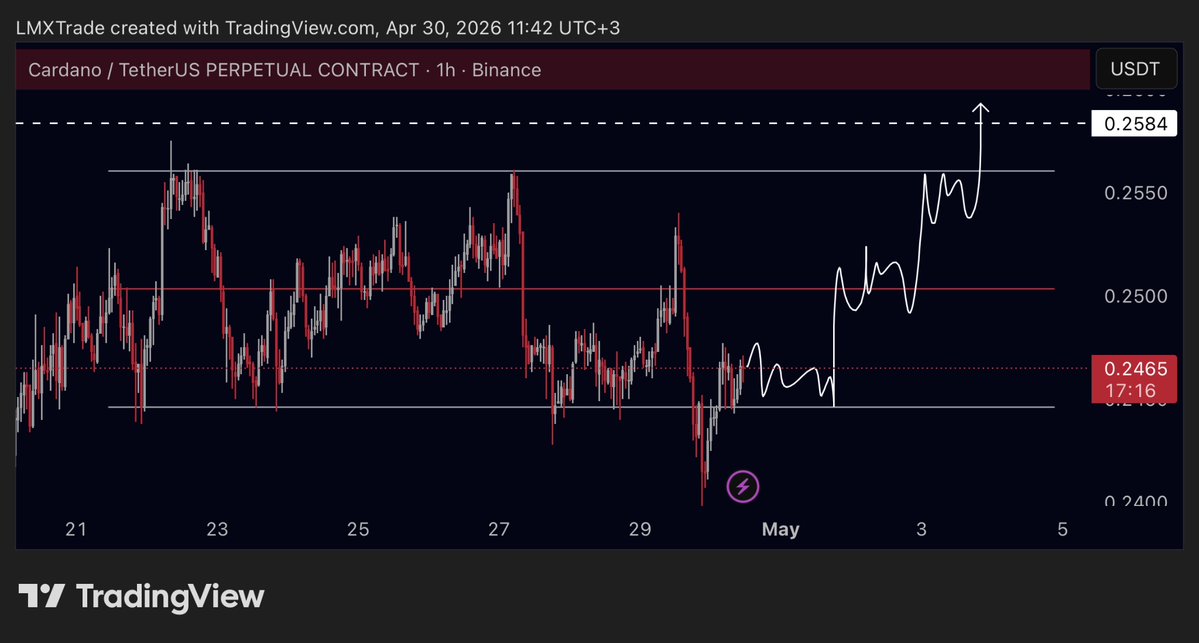 Lumex tweet media