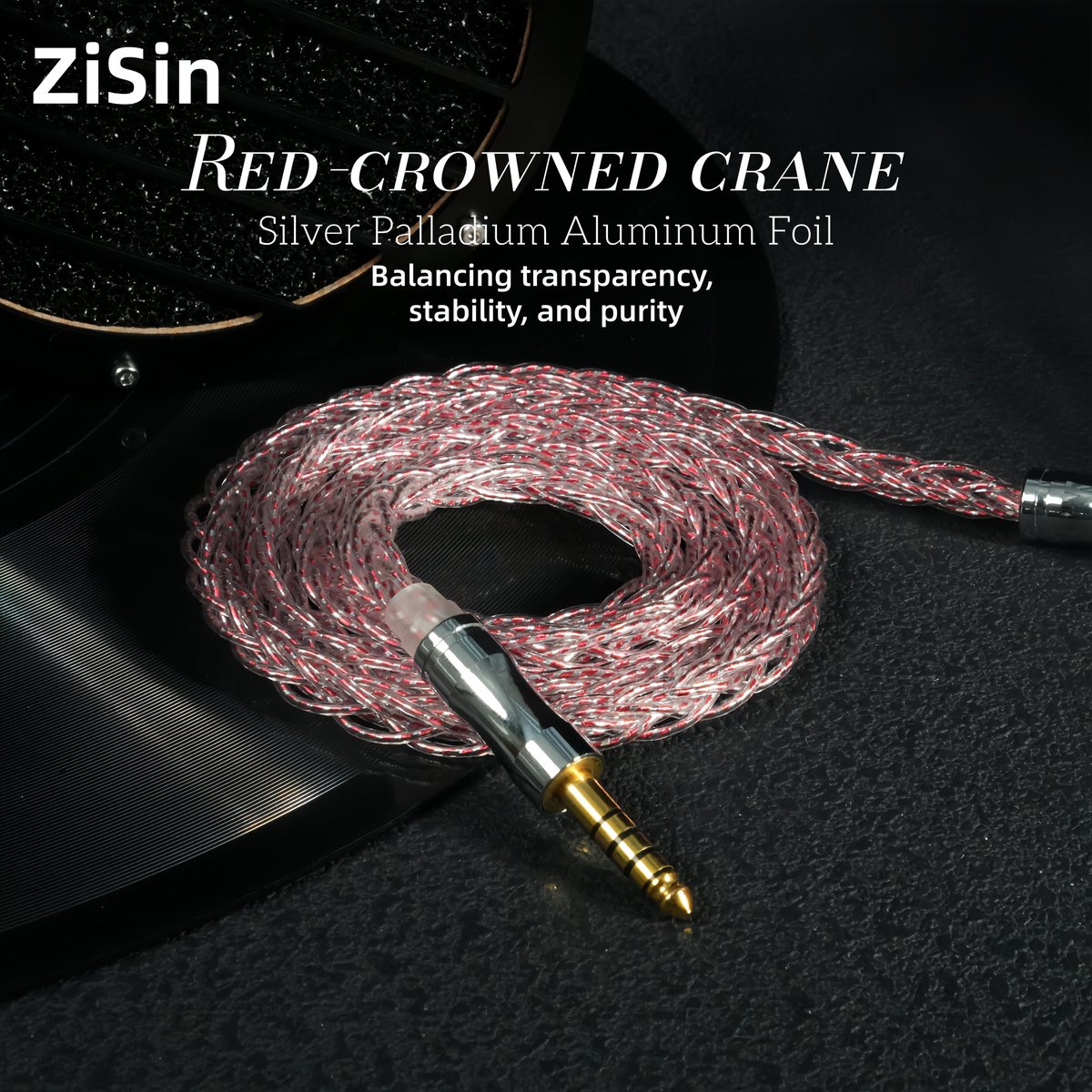 ZiSin Official tweet media