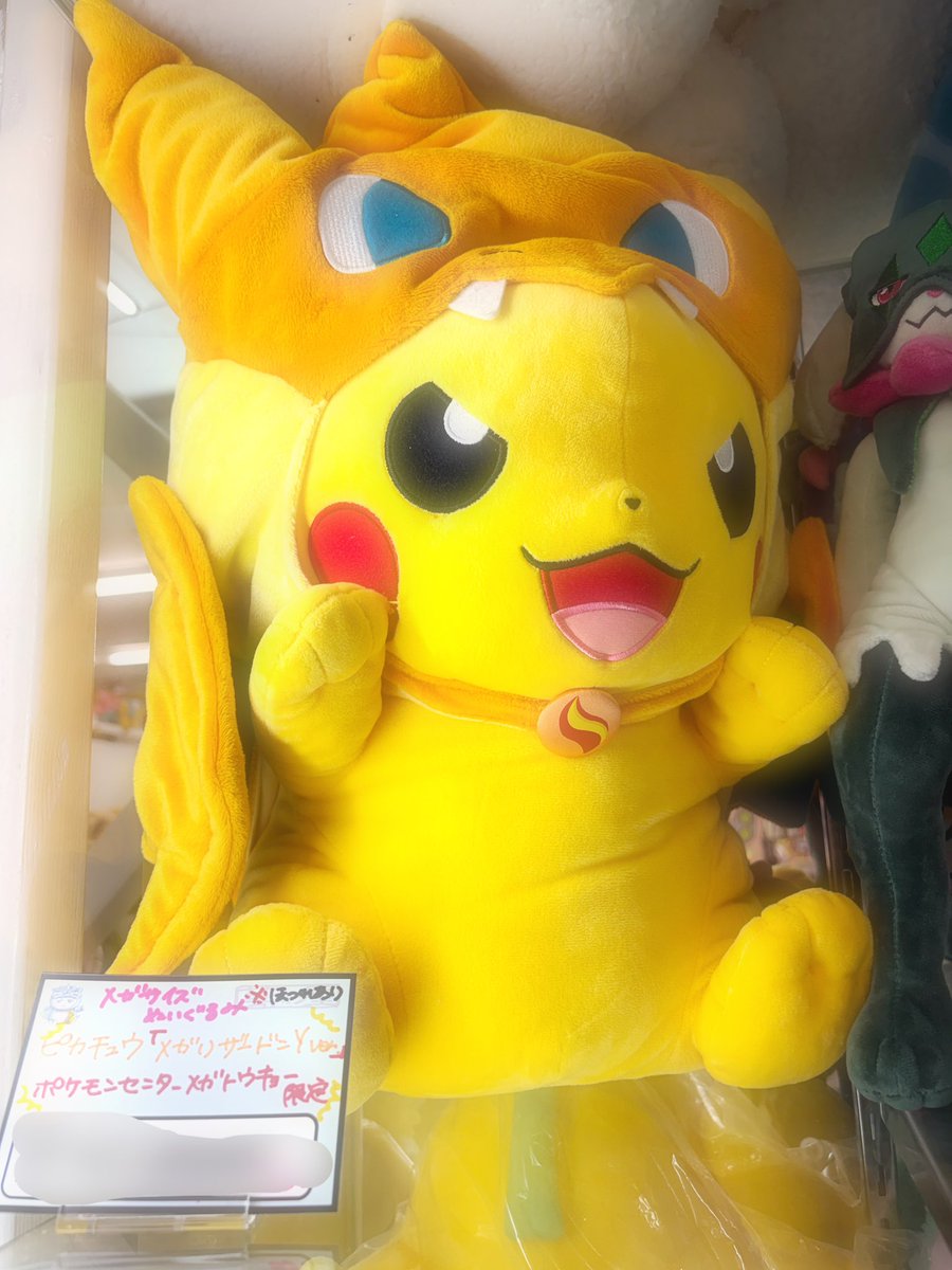 🔥メガリザードンY🔥のポンチョを着た、 メガサイズの⚡️ピカチュウ