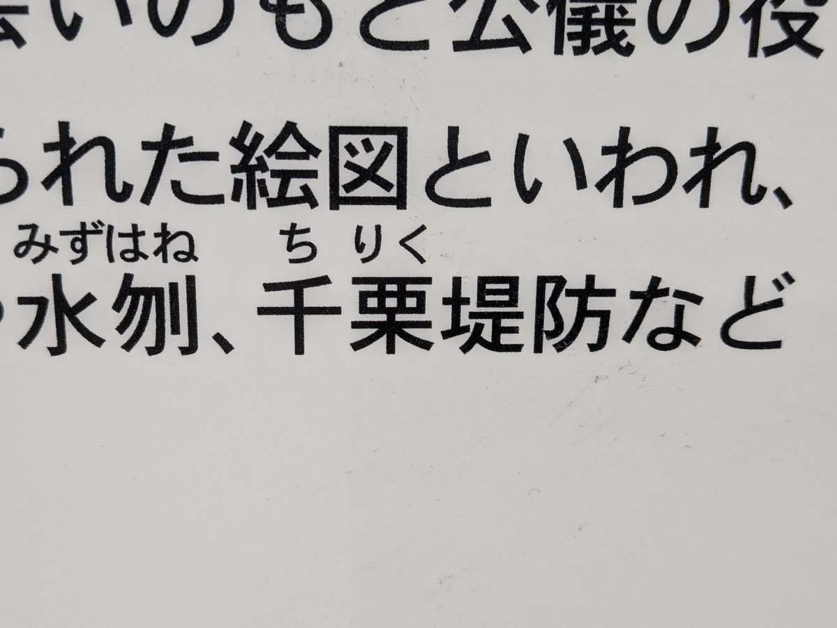 ザクロ tweet media